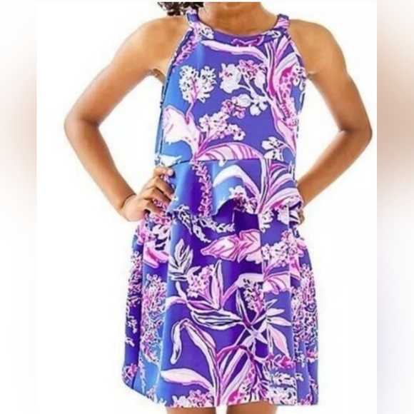 Lilly Pulitzer Other - Lilly Pulitzer coastal Caesara Dress in Iris Blue Wild Pink Size XL 12-14
